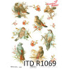 Papier ryżowy ITD R1069