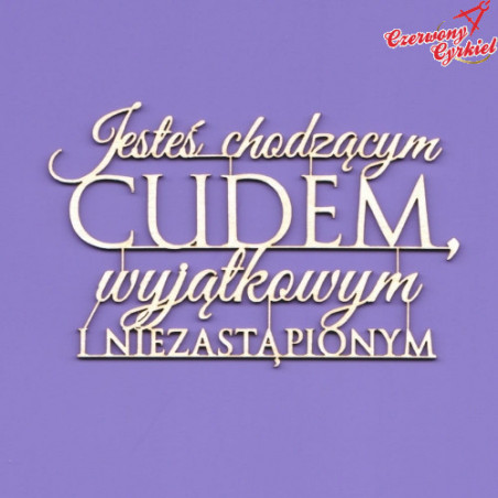 1457 Tekturka napis - "Jesteś chodzącym cudem..." G8 /CRAFTY MOLY