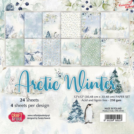 CPB-AW15 Bloczek 15x15 Craft&You Design - ARCTIC WINTER