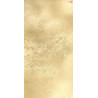 Złota dama 30x15cm elementy- Paper Heaven